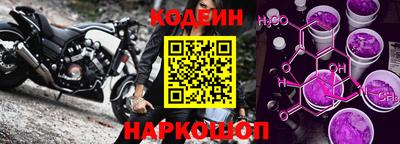 СК Дубна