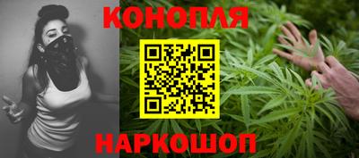 СК Дубна