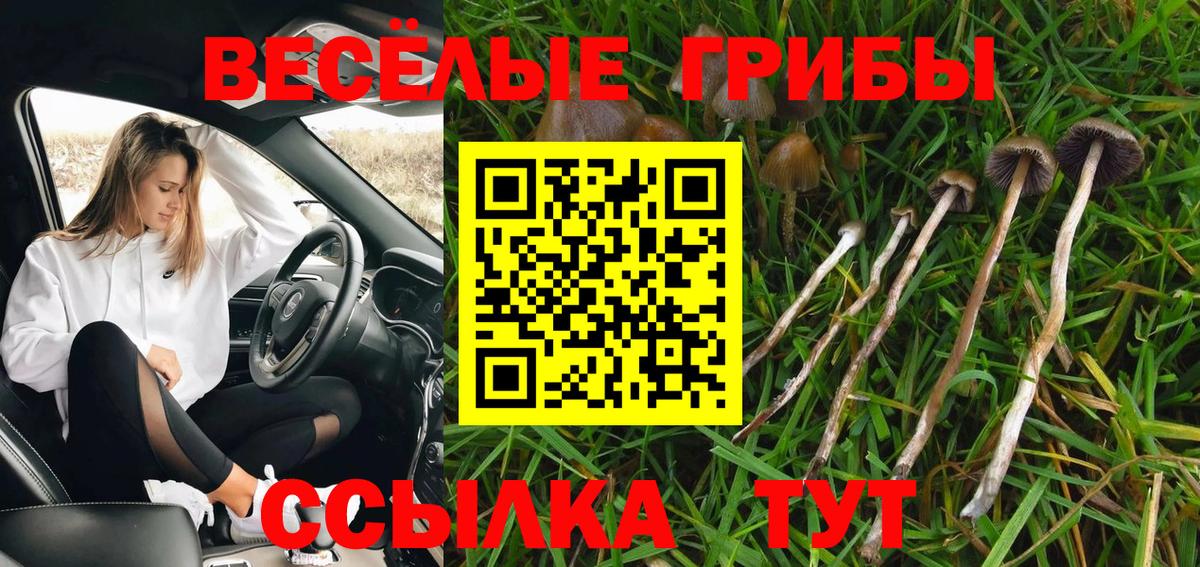 Псилоцибиновые грибы MAGIC MUSHROOMS  Вход с VPN  Людиново 